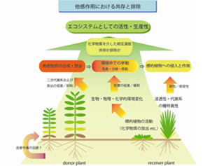 他感作用における共存と排除