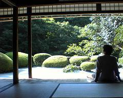 ����Ʋ�����ԻԺ�����